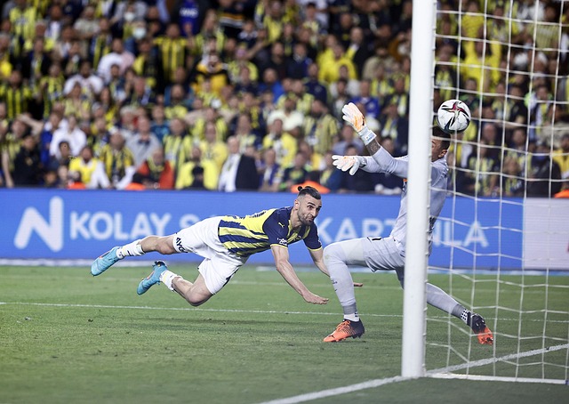 中备受瞩目 中备受瞩目