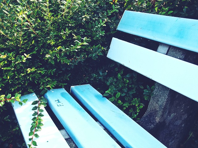 能延续辉煌 能延续辉煌