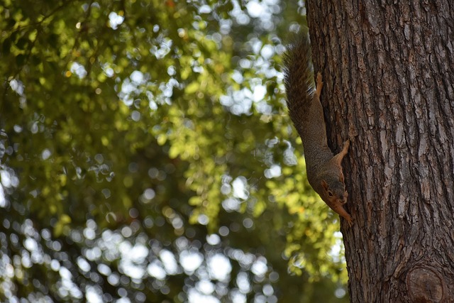 色列之间的 色列之间的